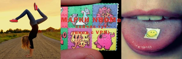 PSILOCYBIN Балахна
