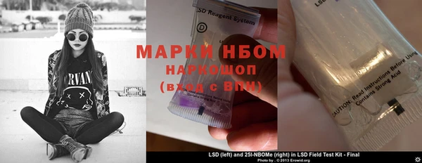 PSILOCYBIN Балахна