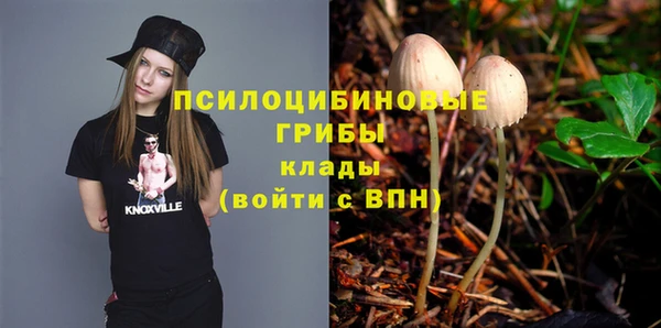 PSILOCYBIN Балахна
